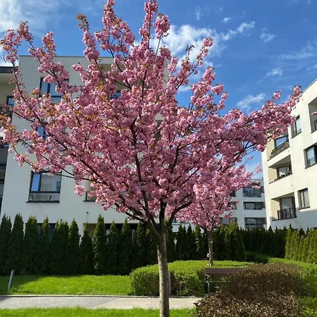 Apartment W24 *